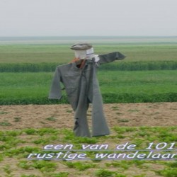 imgp8175 - Sportraad Zaventem 